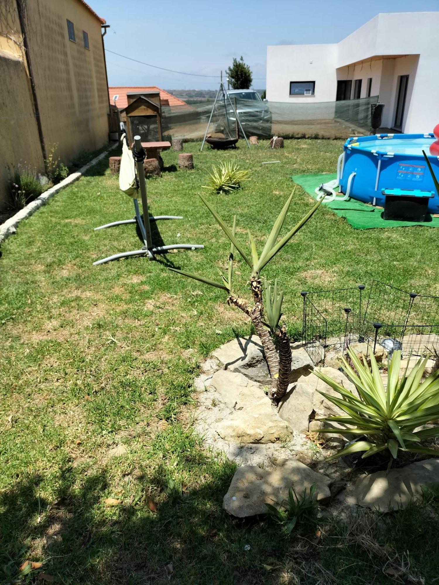 Dinocamp Lourinhã Exterior foto